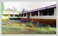 Benches Donation - Saunvardhan pratishthan